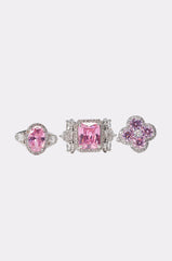 I LIKE TO SPEND RING SET