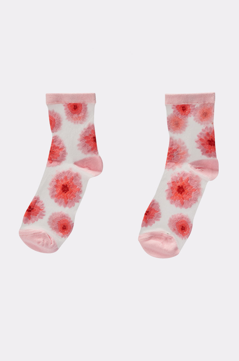 WHERES MY HEEL SOCKS
