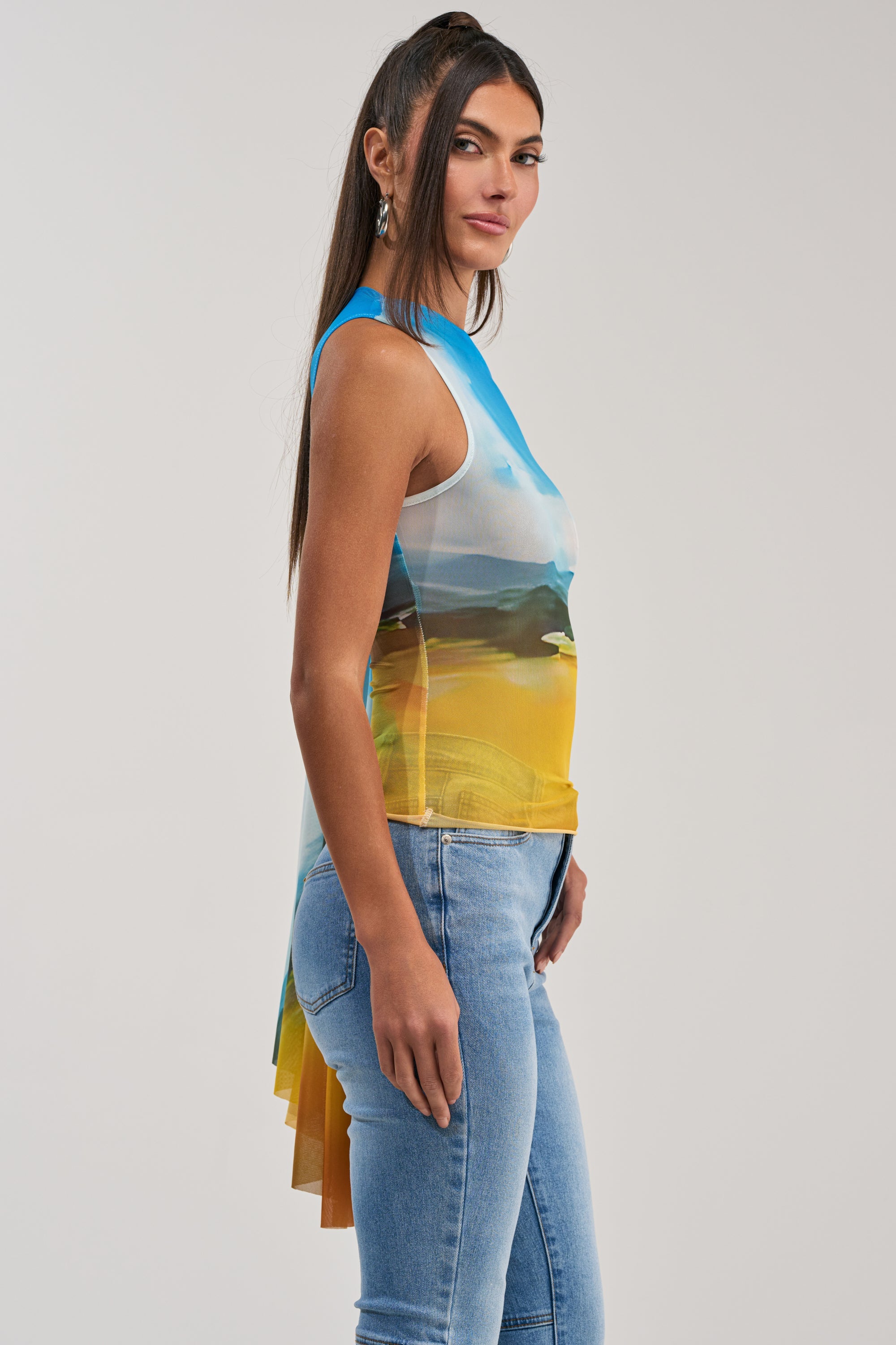 PICTURESQUE LONG SLEEVE MESH TOP