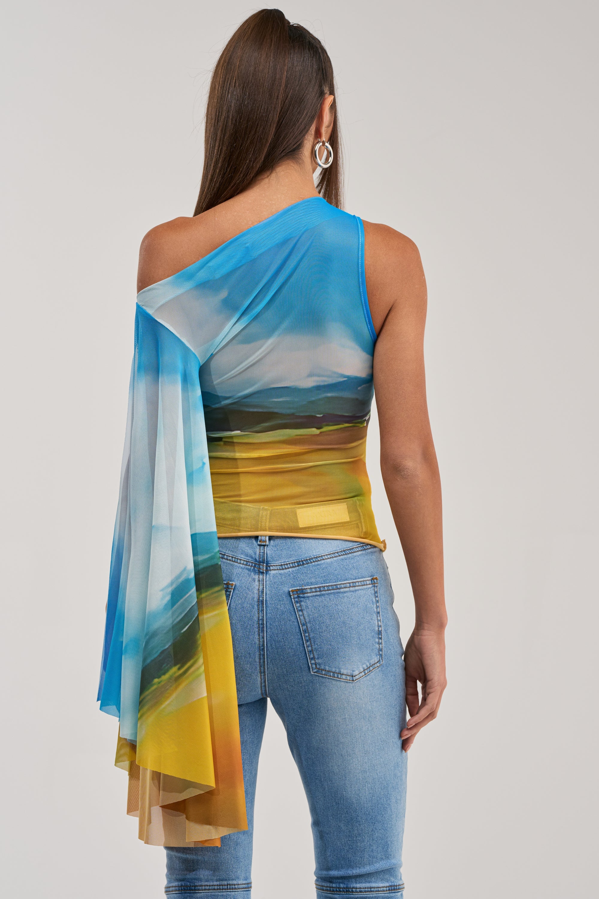 PICTURESQUE LONG SLEEVE MESH TOP