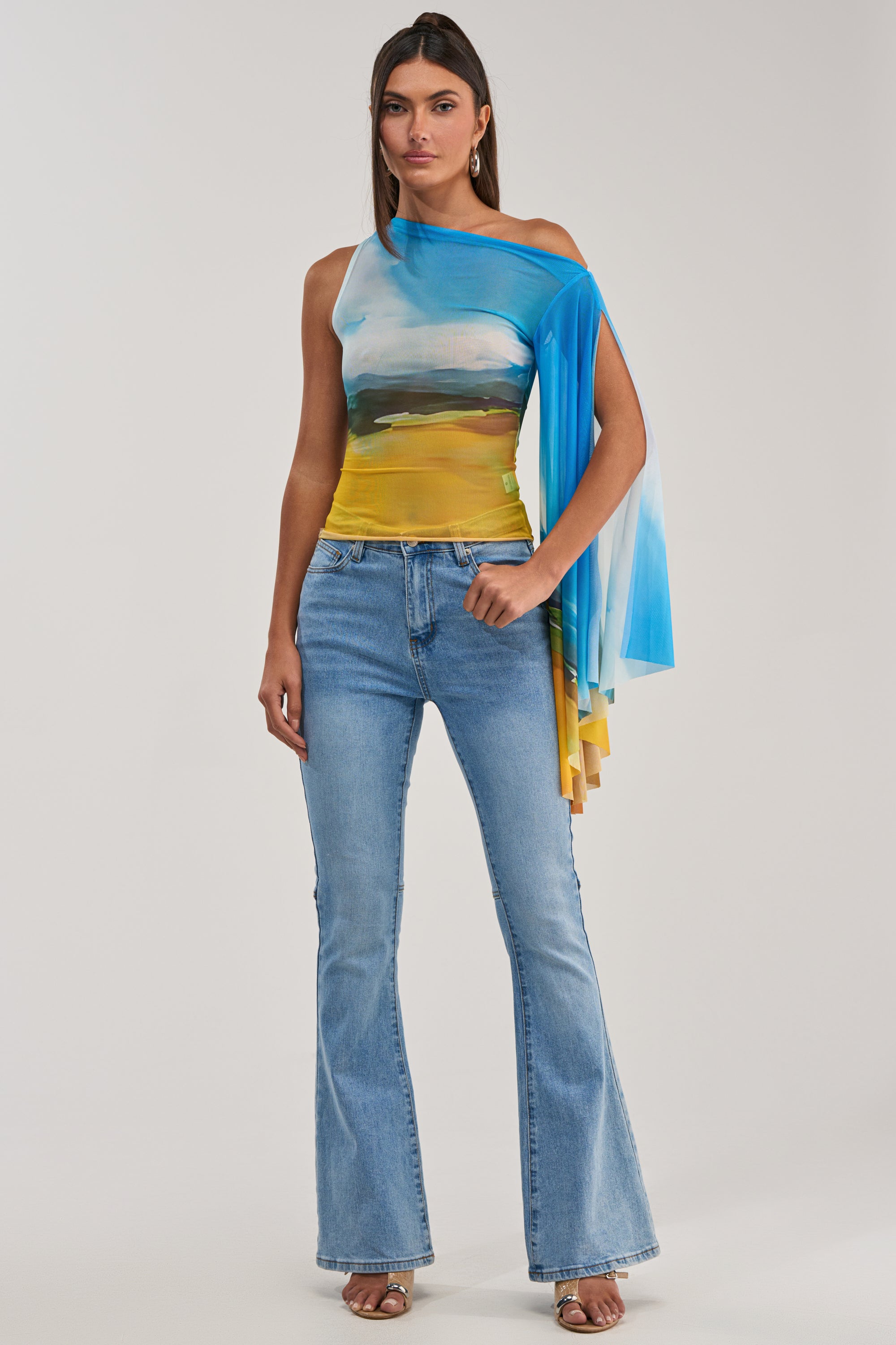 PICTURESQUE LONG SLEEVE MESH TOP