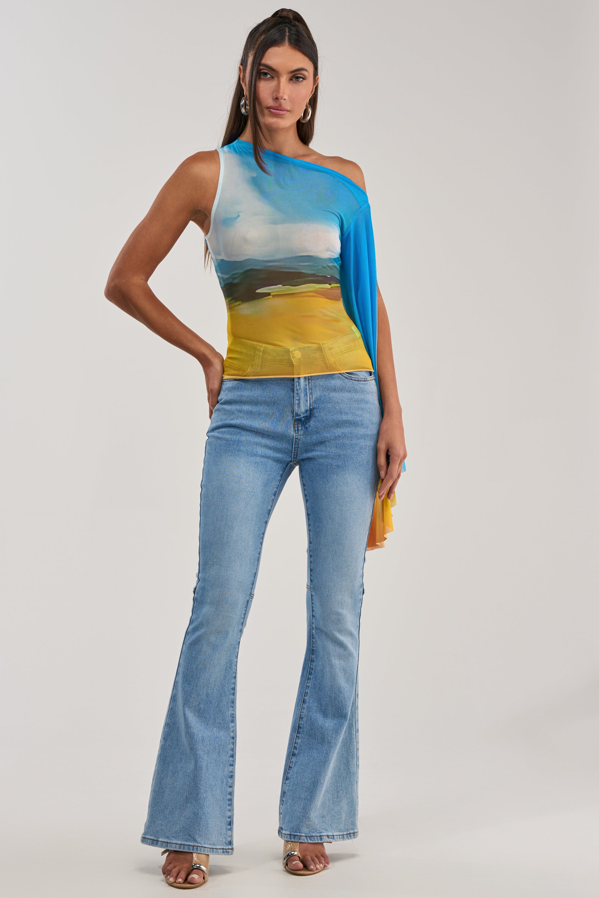 PICTURESQUE LONG SLEEVE MESH TOP
