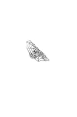 SPIDEY SENSES RING